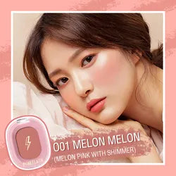 Chic In Cheek blush